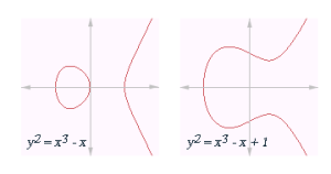 Examples of elliptic curves. Image: Chas zzz brown, via Wikimedia Commons.